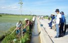  Xã Thái Hòa huy động nguồn lực xã hội hóa xây dựng tuyến đường mẫu, hàng cây xanh
