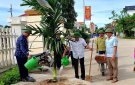 Xã Thọ Dân tổ chức trồng cau tuyến đường kiểu mẫu