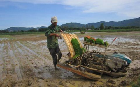 Toàn huyện đẩy mạnh xây dựng nông thôn mới giai đoạn 2012-2015