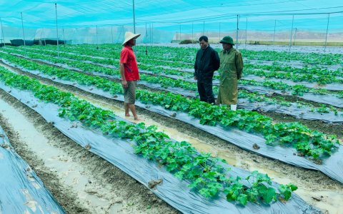 Hội Nông Dân huyện với công tác chỉ đạo xây dựng mô hình chuyển đổi đất lúa kém hiệu quả sang các mô hình khác cho hiệu quả kinh tế cao.