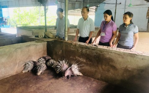 Hội Nông Dân xã Hợp Tiến phát huy hiệu quả Mô hình Tổ Hội nghề nghiệp.