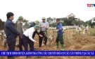 Chủ tịch UBND huyện, kểm tra công tác chuyển đổi cơ cấu cây trồng tại các xã