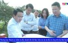 Thường trực Huyện ủy kiểm tra đẩy nhanh tiến độ thực hiện các dự án đầu tư công trên địa bàn huyện