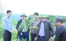 BÍ THƯ HUYỆN ỦY KIỂM TRA VÙNG CHUYỂN ĐỔI CÂY TRỒNG CÁC XÃ TRONG HUYỆN