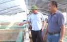 Bí thư Huyện ủy thăm các mô hình chăn nuôi con đặc sản trên địa bàn huyện