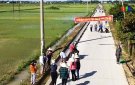 Xã Thái Hòa huy động nguồn xã hội hóa xây dựng tuyến đường mẫu,hàng cây xanh