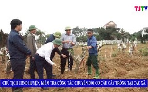 Chủ tịch UBND huyện, kểm tra công tác chuyển đổi cơ cấu cây trồng tại các xã